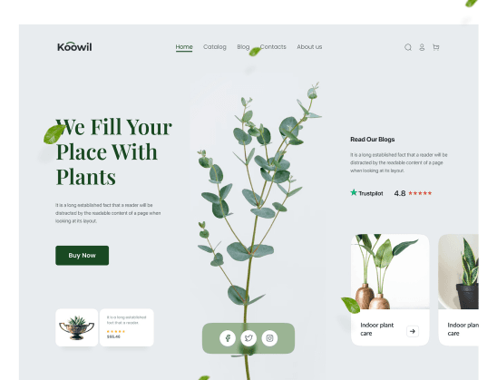 Customised E-Commerce Website