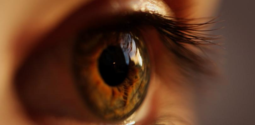Following Your Vision