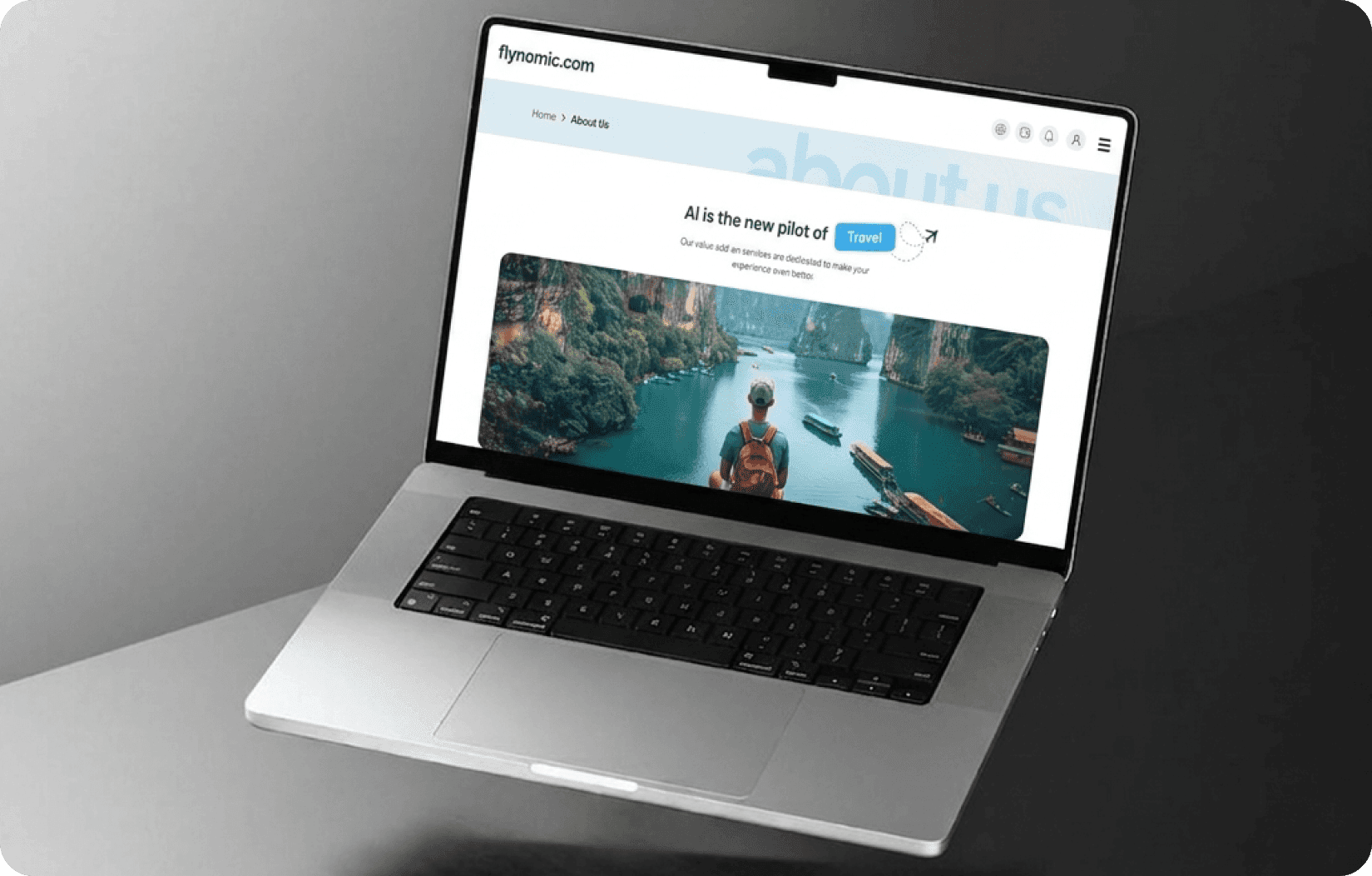 Travel Website Redesign Final Showcase