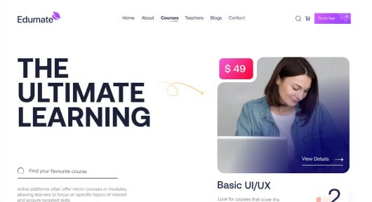 B2C Web UX Design