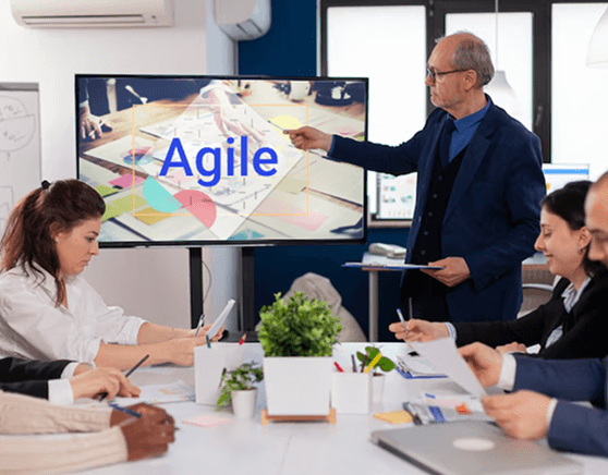 Lean, Agile Process